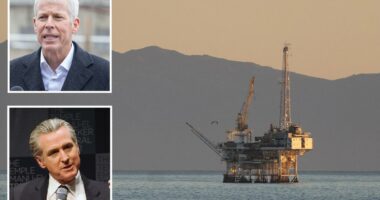 Energy Secretary slams Gavin Newsom over âignorantâ comments on California gas prices